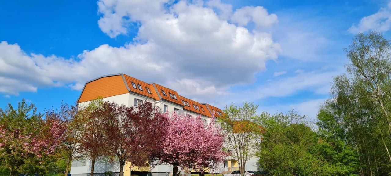 Moderne Wohlfuehlferienwohnung In هيلدبورغهاوزن المظهر الخارجي الصورة